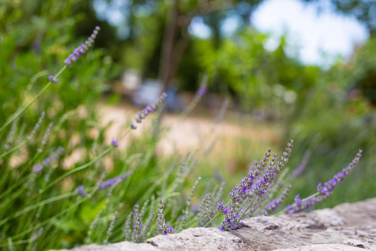 Apartman Mihael Malinska Bagian luar foto